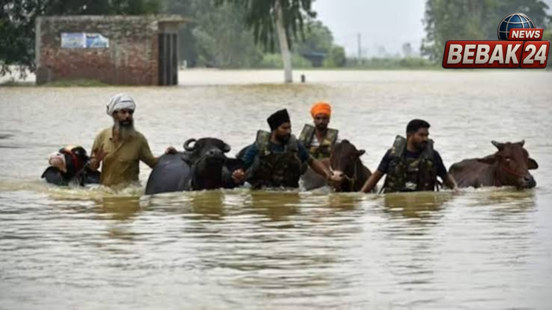 पंजाब में बारिश से जनजीवन प्रभावित, मानसा में जलभराव; पठानकोट में छाया अंधेरा