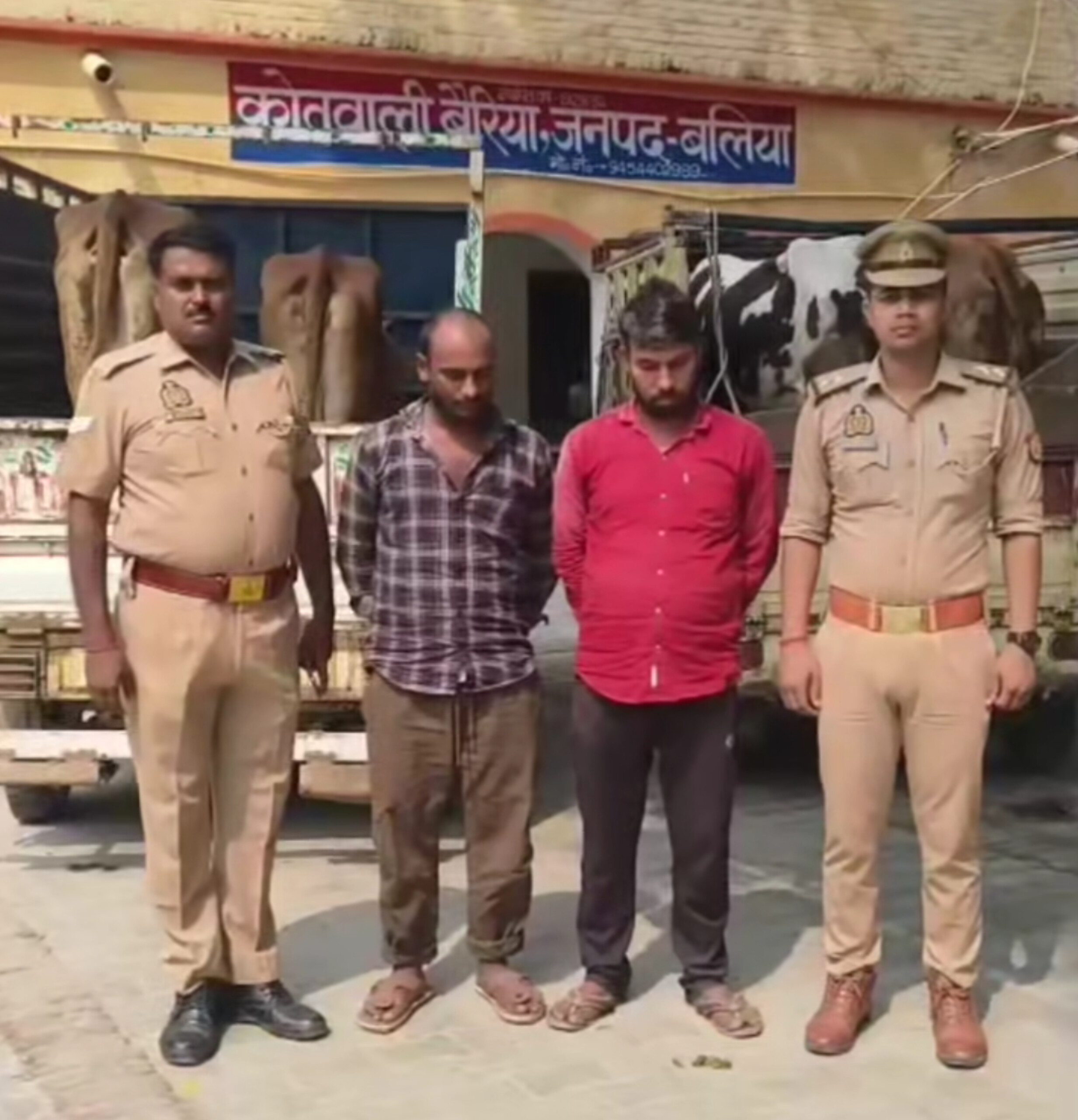 बलिया में गोवंश तस्करों पर बड़ी कार्रवाई: बैरिया पुलिस ने दो पिकअप से 8 गोवंश बरामद किए, 2 आरोपी गिरफ्तार