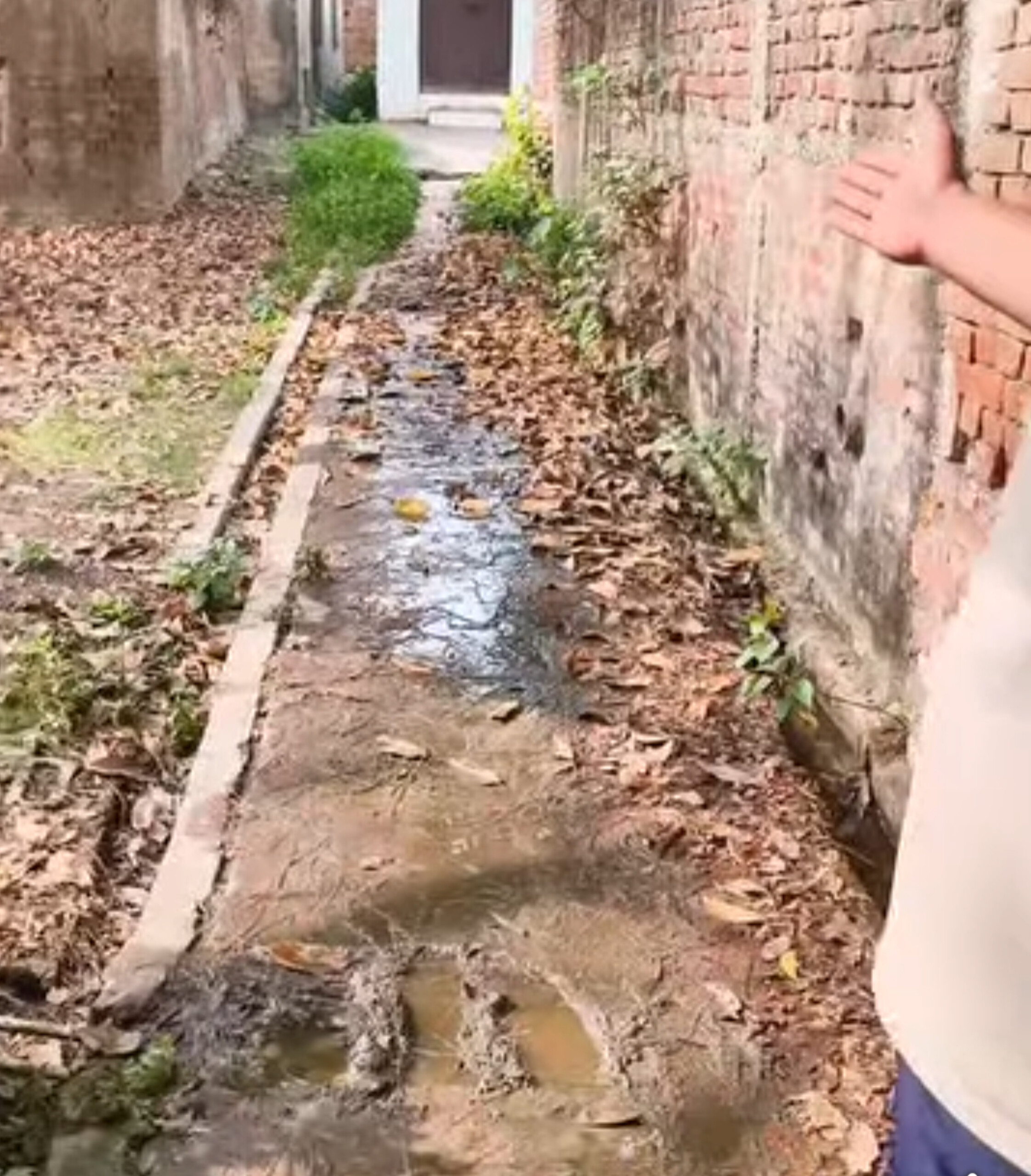 हकीकत-ए-सोहांव: साहबों की नाक के नीचे 'स्वच्छ भारत' का दम घुट रहा, नरही बाजार में कूड़े का साम्राज्य!