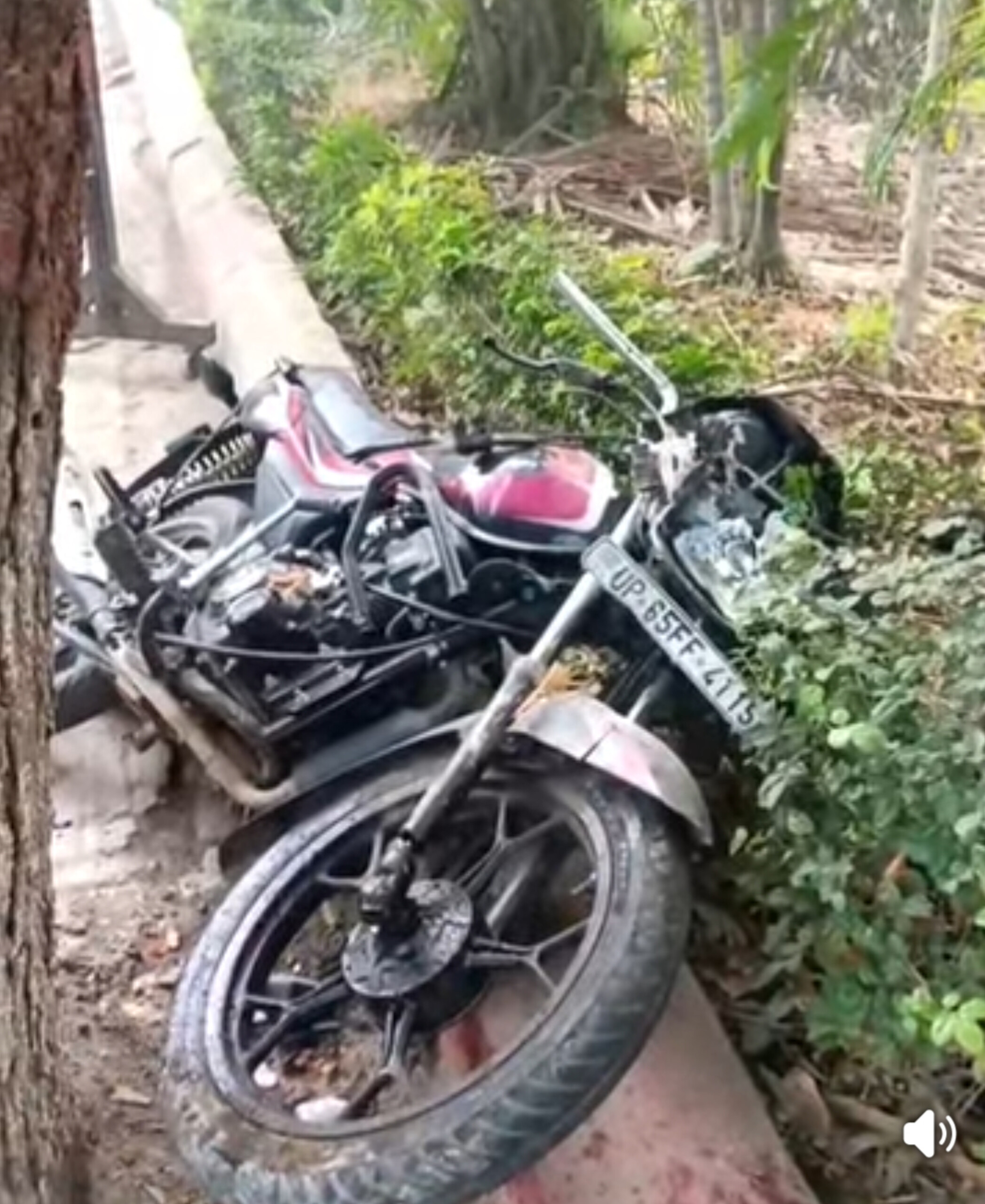 BHU में देर रात दर्दनाक हादसा: तेज रफ्तार बाइक आम के पेड़ से टकराई, एमपीएड छात्र की मौत, दो गंभीर