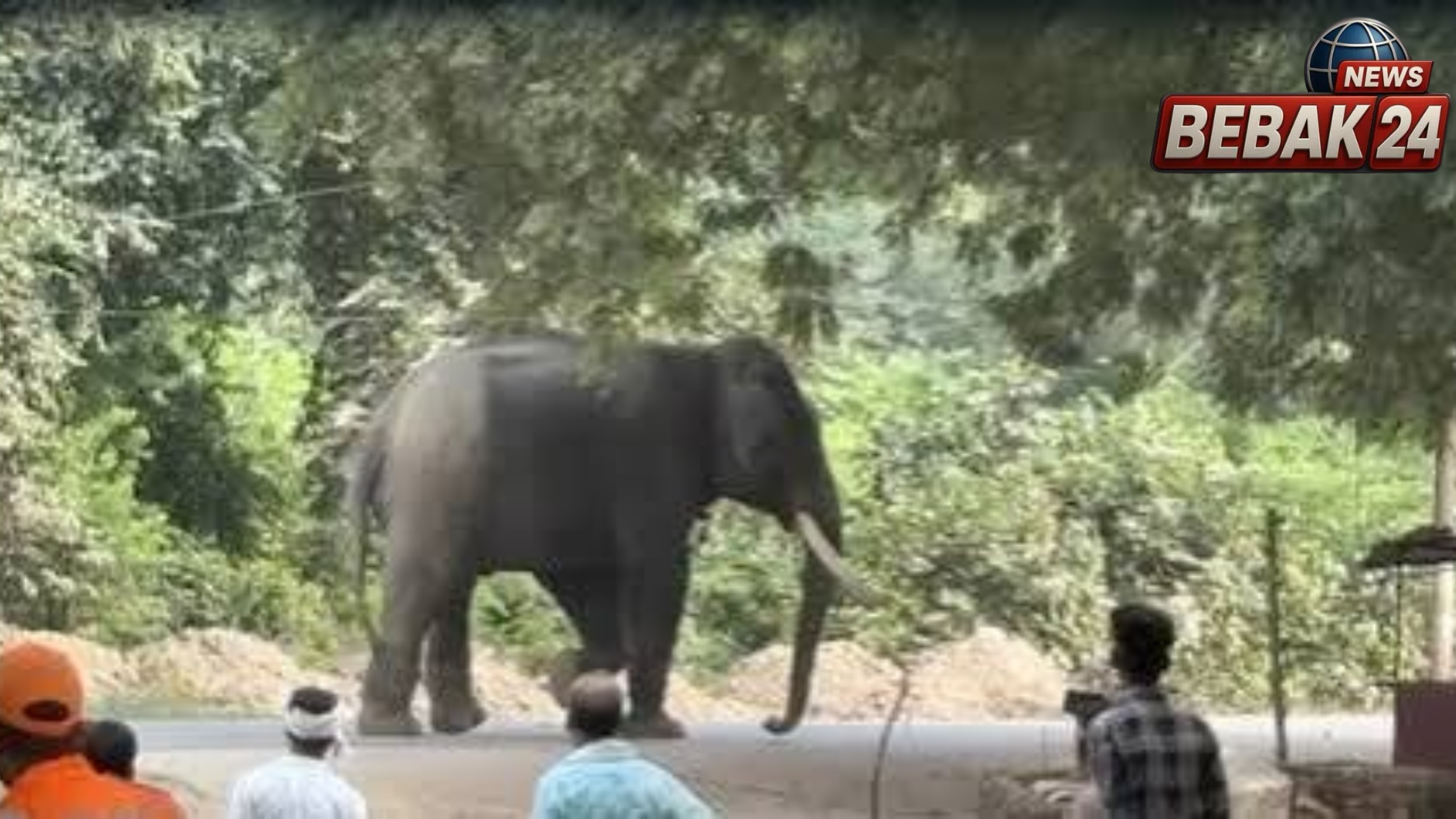 रामनगर में बेकाबू हाथी का 11 घंटे तांडव, महावत गंभीर घायल; पहली बार स्थगित हुई रामलीला