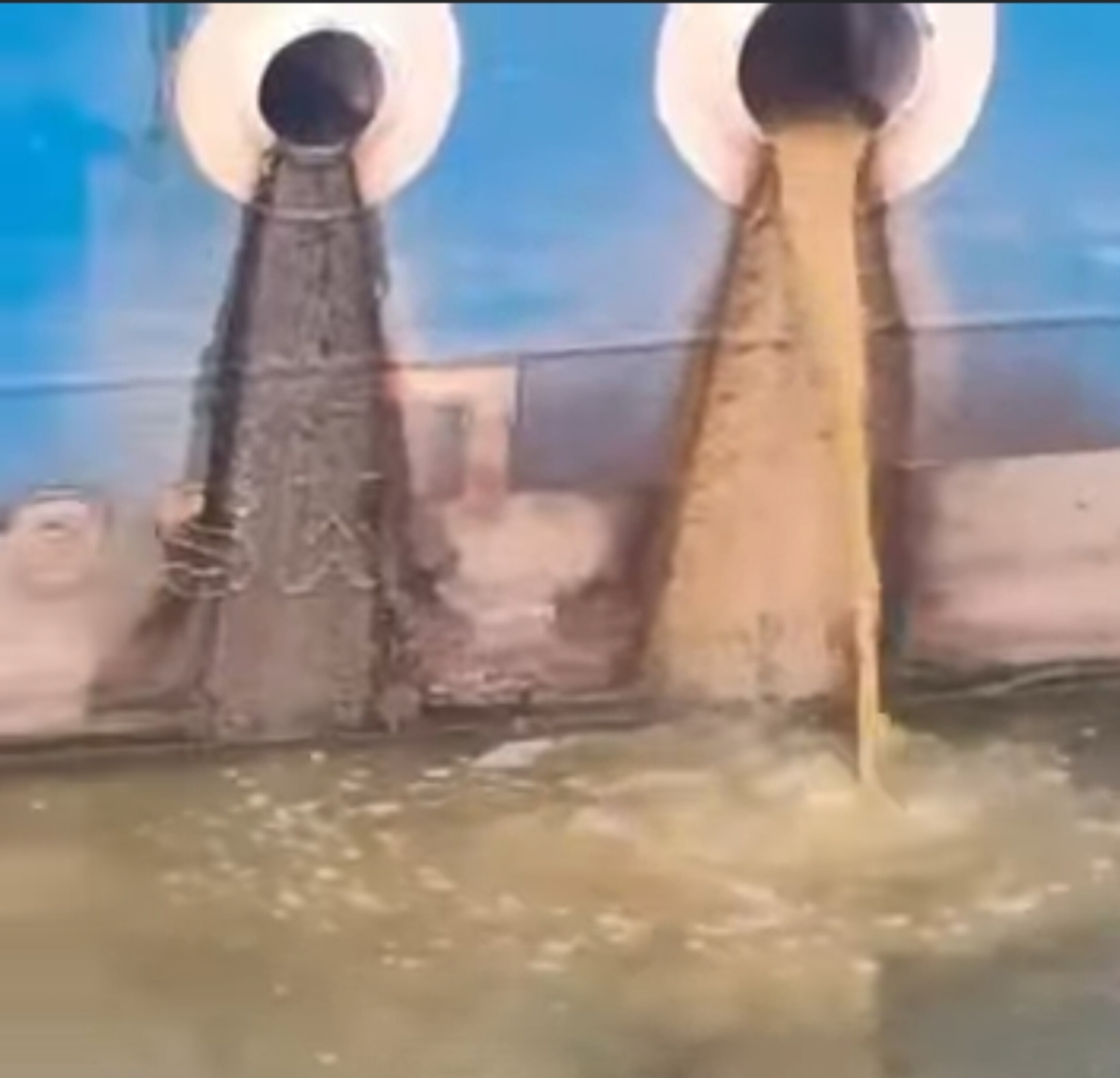 &ldquo;मां गंगा की पवित्रता सर्वोपरि: विवेकानंद क्रूज पर लगे आरोपों की जांच शुरू, नगर निगम ने गठित की समिति&rdquo;