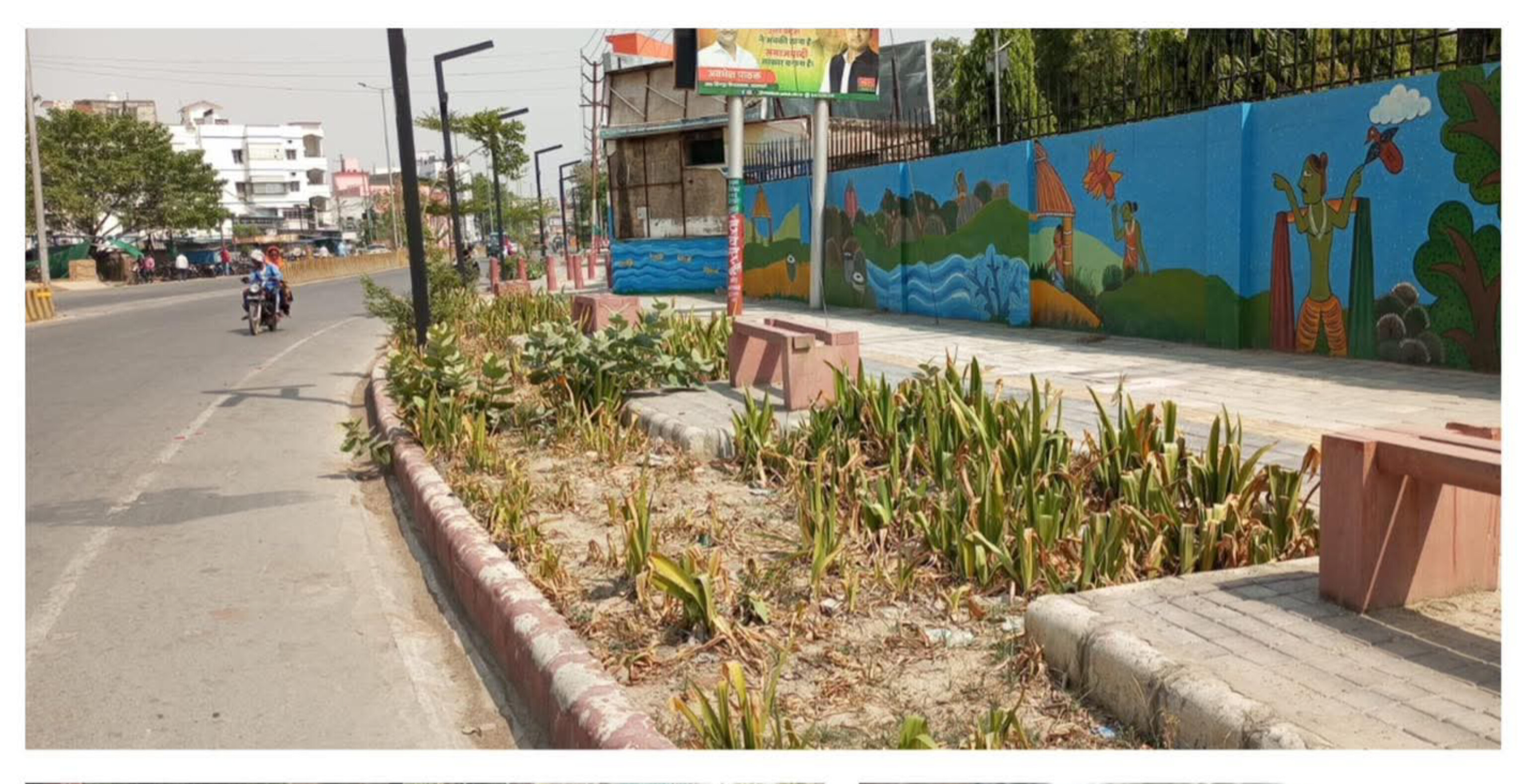 करोड़ों की 'संगीत पथ' पर लापरवाही की ऐसी तान, सूख गई हरियाली... टूट गए अरमान!
