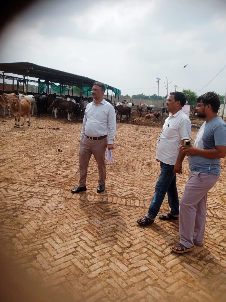 गौशालाओं की व्यवस्थाओं में लापरवाही बर्दाश्त नहीं, अधिकारी धरातल पर उतरकर करें गुणवत्तापूर्ण मूल्यांकन: जिलाधिकारी
