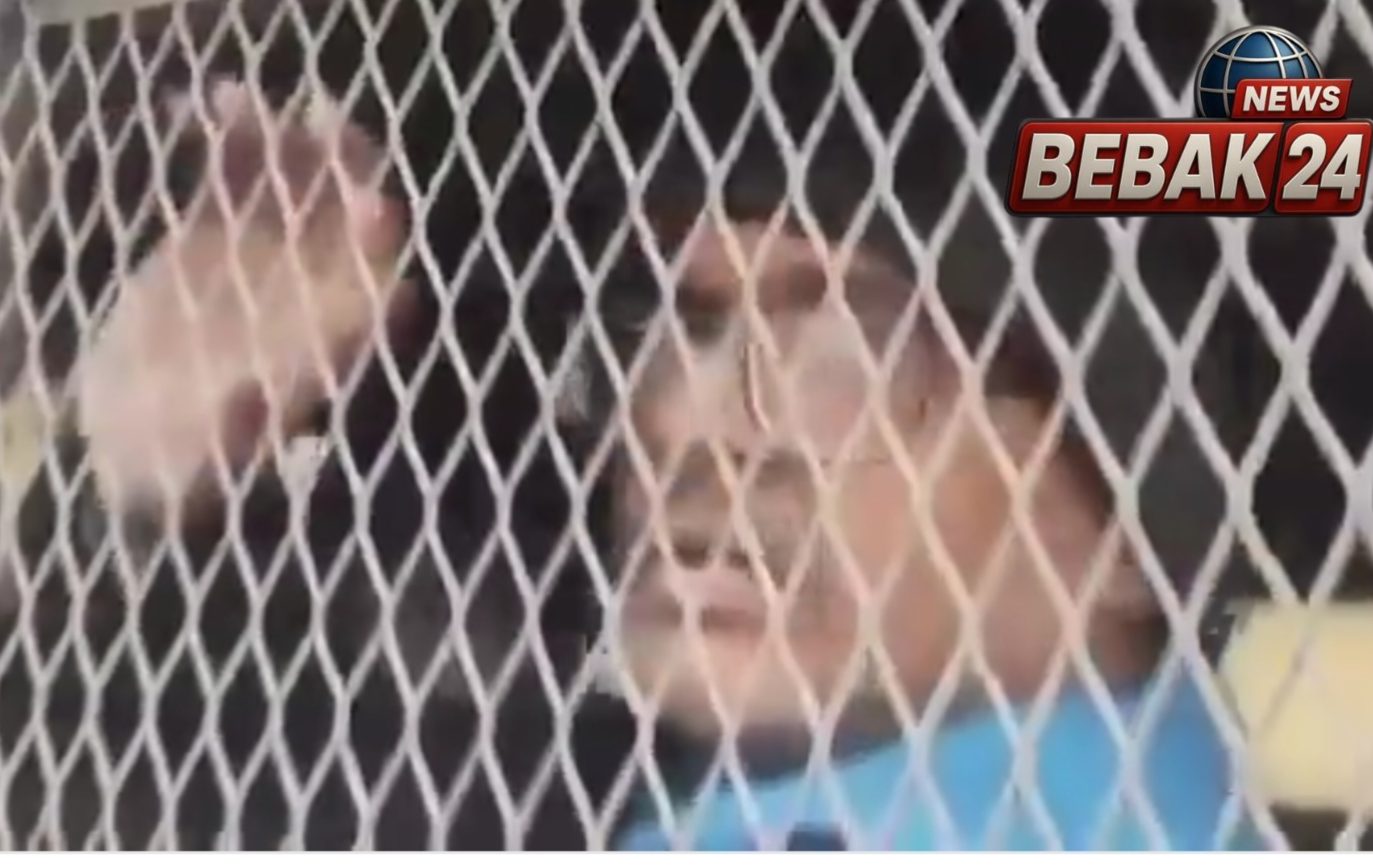 कफ सिरप प्रकरण में घिरे अमिताभ ठाकुर, वाराणसी कोर्ट में आज पेशी