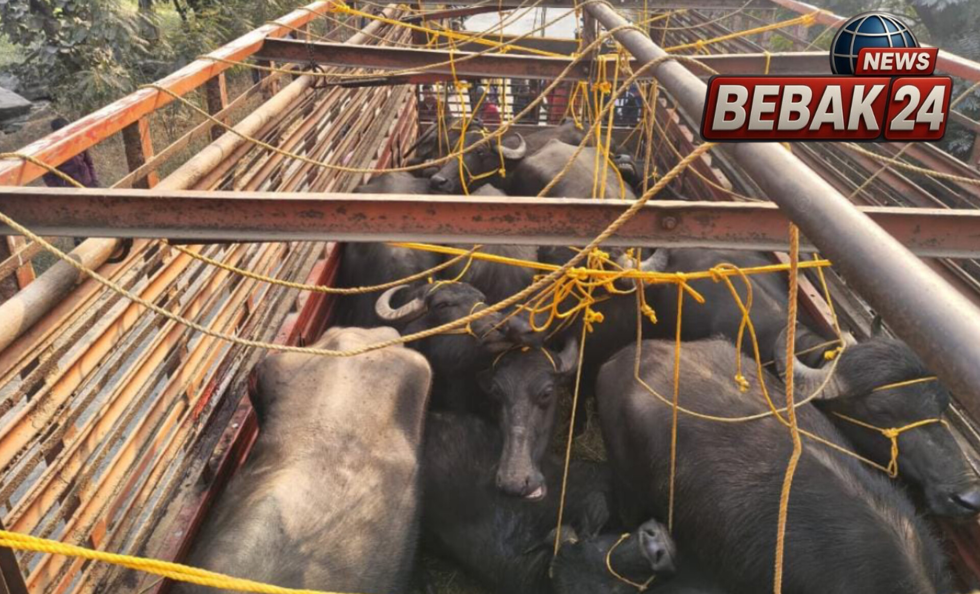 बॉर्डर पार पीछा कर पुलिस ने दबोचा तस्करों का ट्रक, आधी रात फिल्मी अंदाज में हुई कार्रवाई