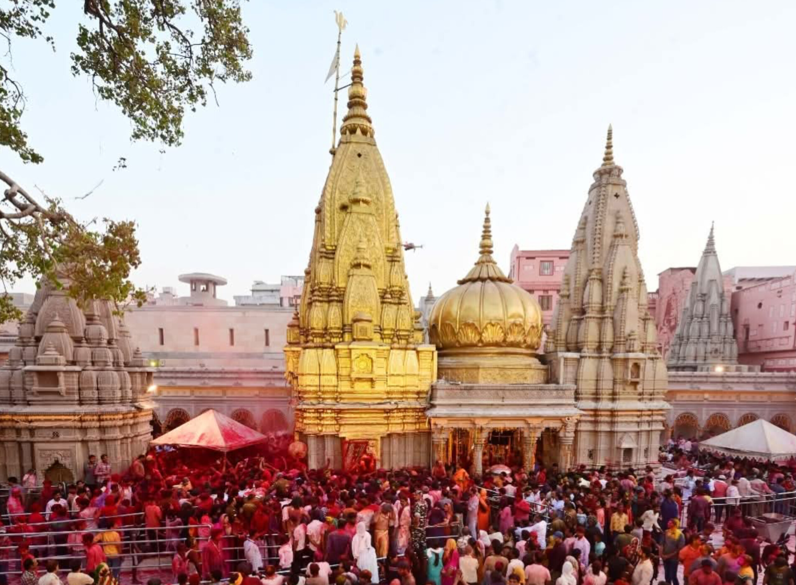 महादेव के दरबार में बड़े फैसले! गौवंश की सेवा से लेकर संस्कृत के संरक्षण तक, मंडलायुक्त ने लगाई मुहर